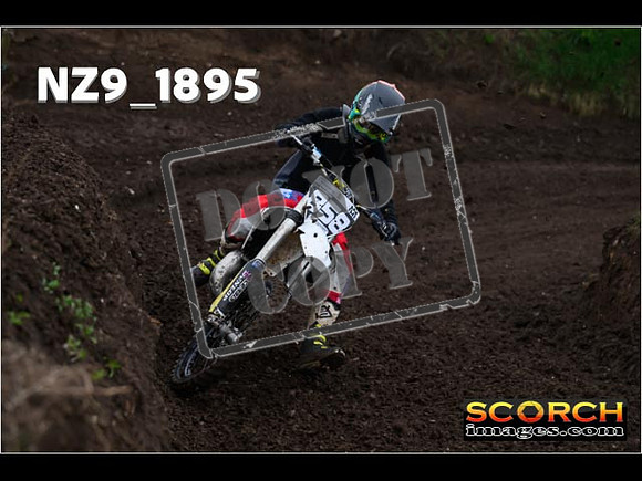 Inters-131