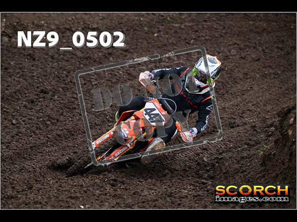 Experts-058