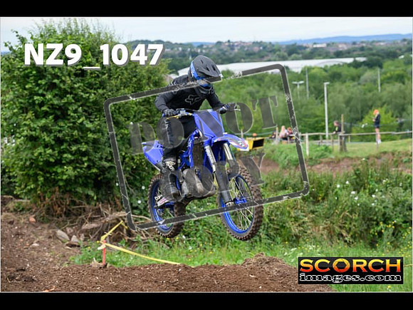 IntersGreen-062