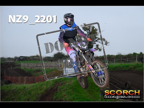 Experts-204