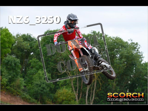 Experts-029