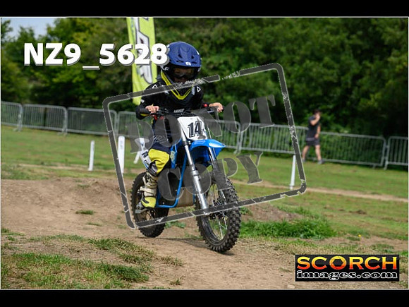 PeeWee Track-009