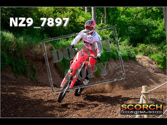 IntersGreenOrange-099