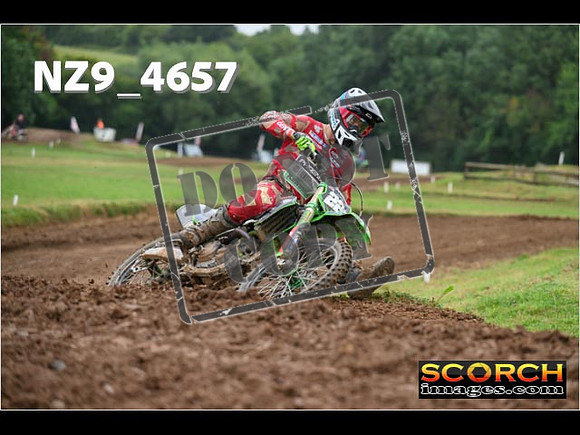 Experts-141