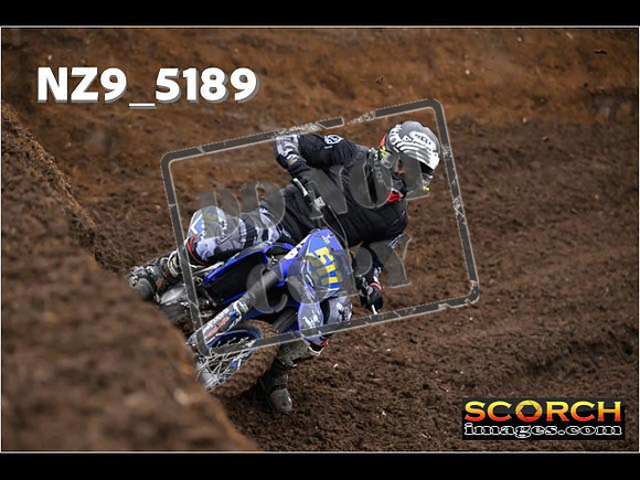 Experts-053