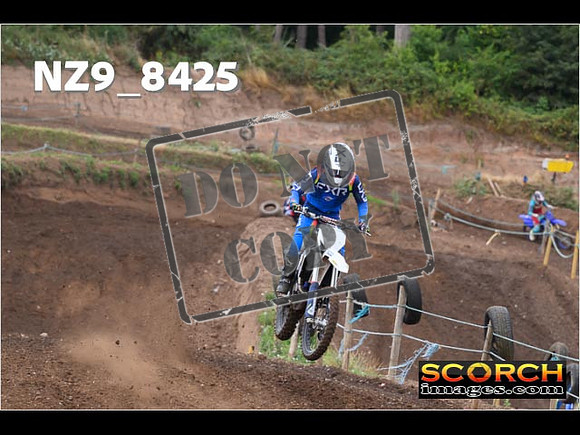 Experts-115