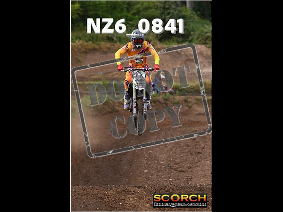 Experts-035