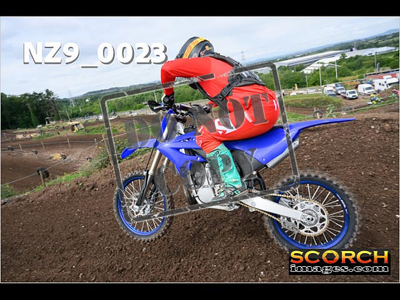Inters GreenOrange-033