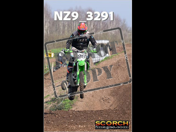IntersGreen-047