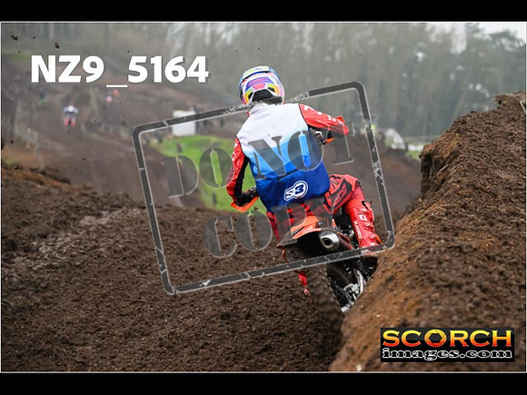 Experts-030
