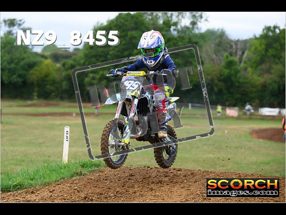 Auto65's-050