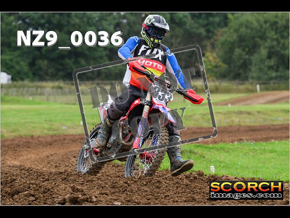 Novice-209