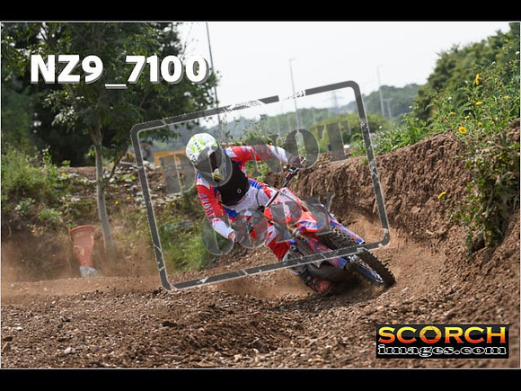 Experts-491