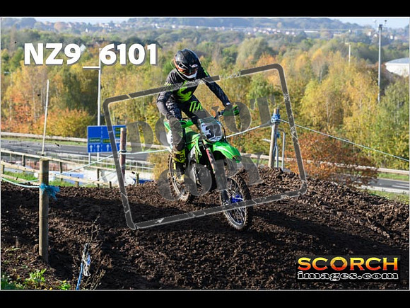 Experts-137