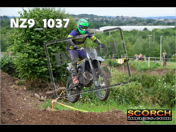 IntersGreen-052
