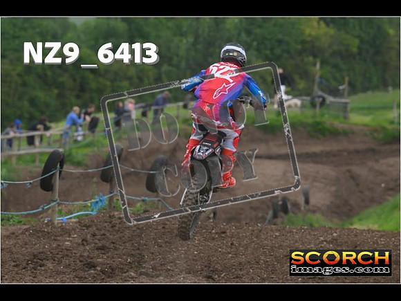 Experts-225