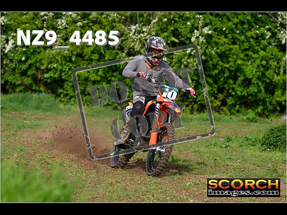 Experts-046