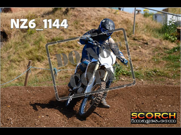 Experts-113