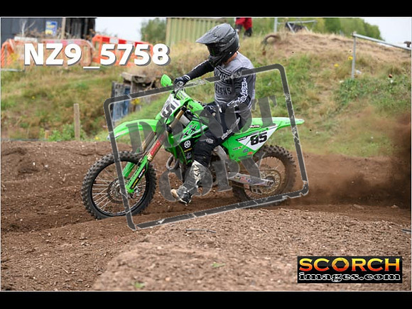 Experts-228