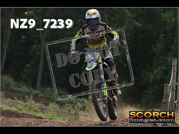 Inters Green-234