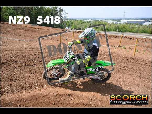 InterGreenOrange-269