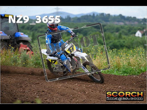 Experts-063
