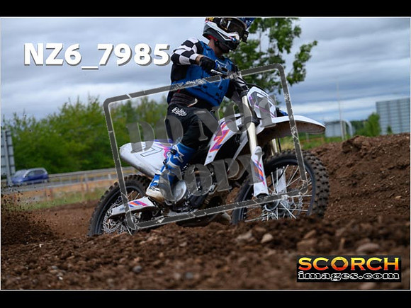 Experts-174
