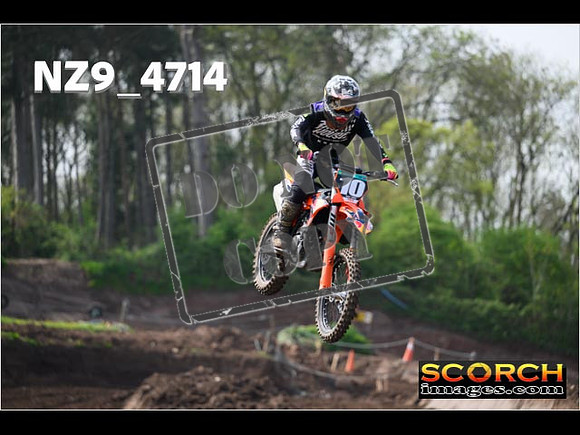 Experts-091