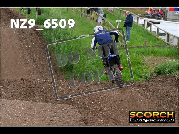 Experts-317