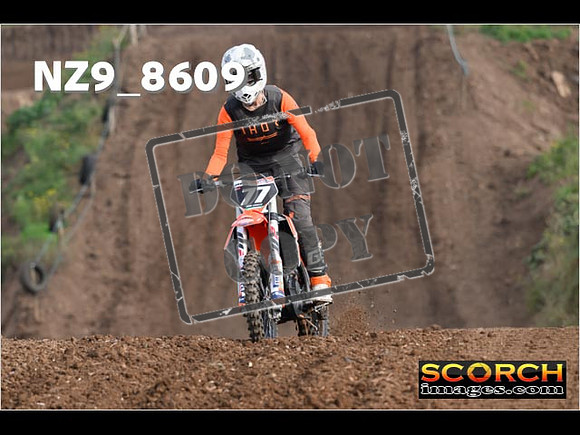 Experts-019