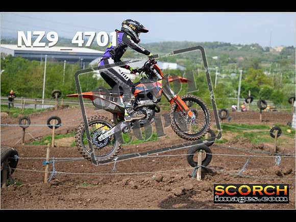 Experts-082