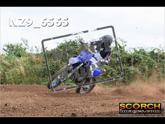 Experts-274
