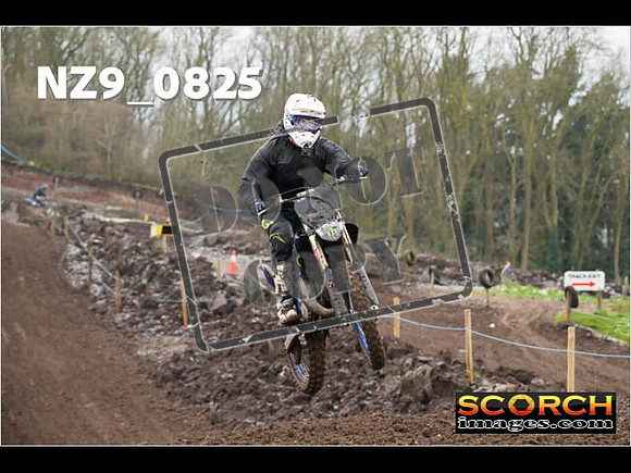 IntersGreenOrange-117