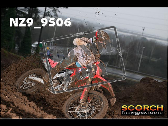 Experts-130