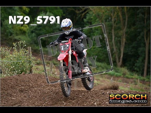 Experts-259