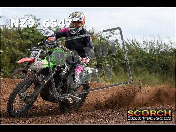 Experts-256