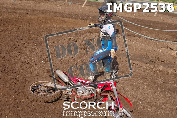 IMGP2536