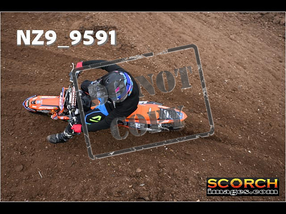 Experts-046