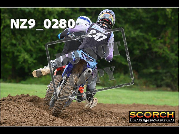 Novice-254