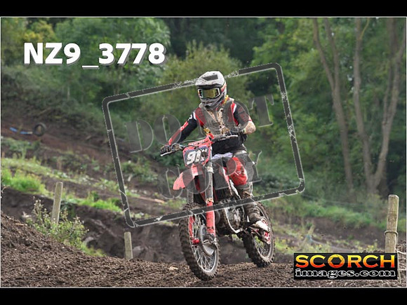 Inters-550