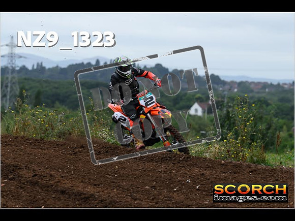 Inters Green-001