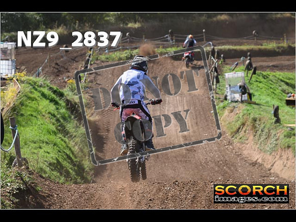 Experts-134