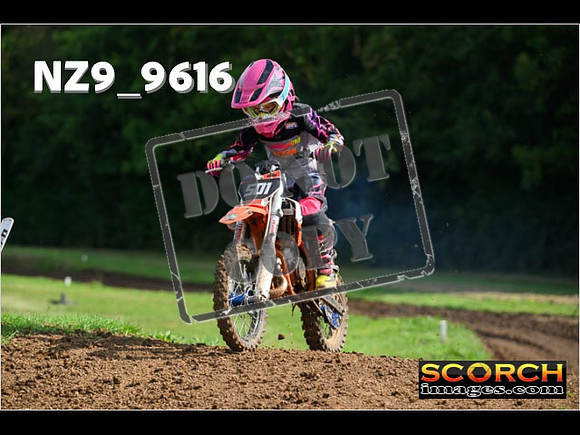 65's-031