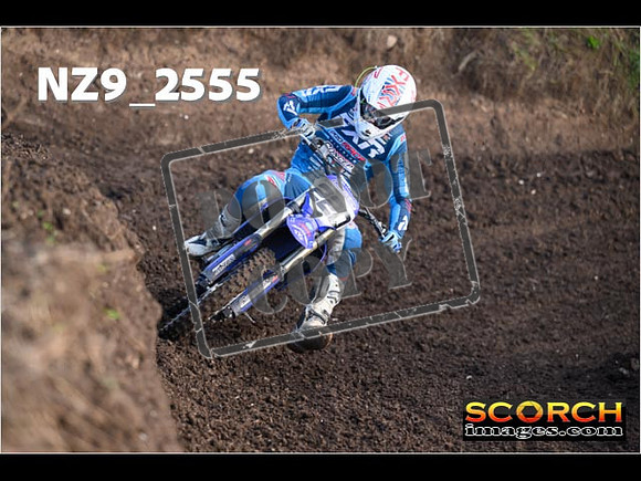 Experts-140