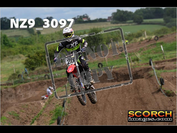 Experts-106