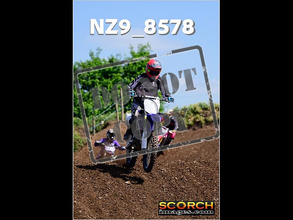 IntersGreenOrange-244