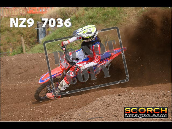 Experts-432
