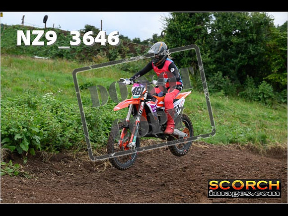 Experts-054