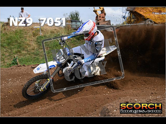 Experts-447