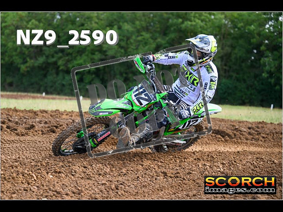 Experts-151
